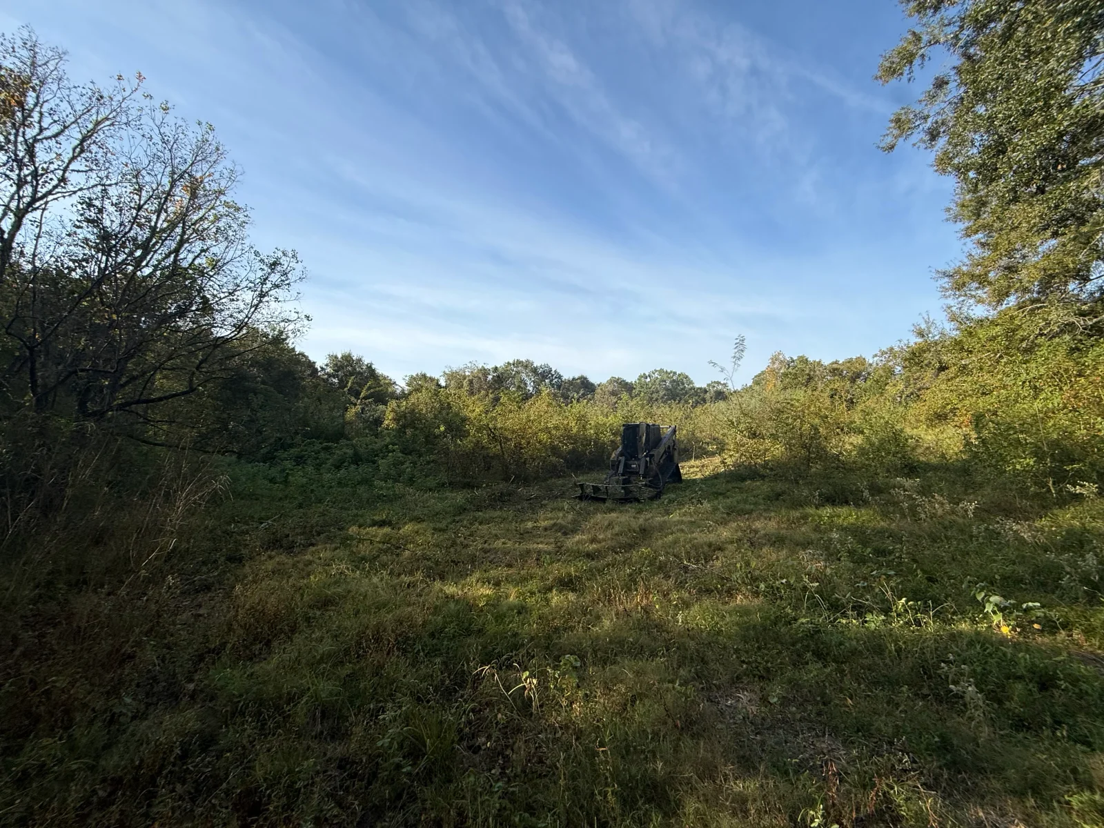 Compact track loader with forestry mulcher clearing dense brush and shrubs on open land